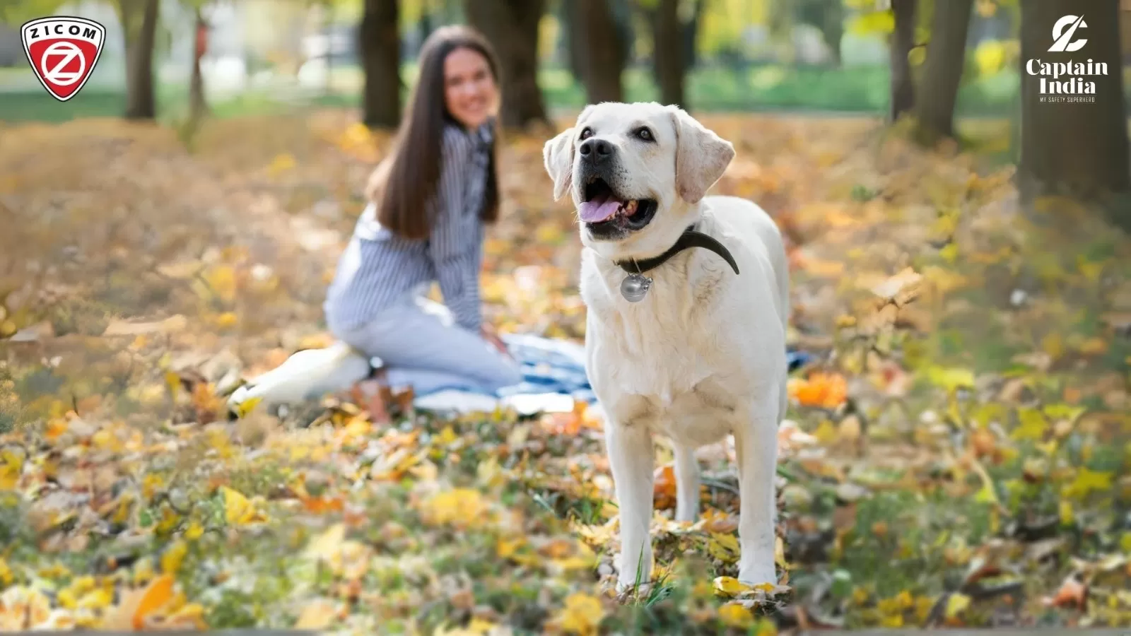 The Heartfelt Concern: Pet Parents and the Fear of Pet Loss