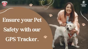 Unlocking-the-Future-of-Pet-Safety_-The-GPS-Tracker-Revolution