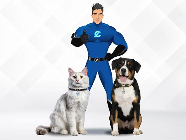 Captain-India-Pet-Safety