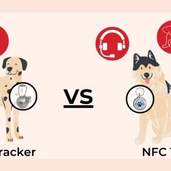 Microchipping vs. Modern Solutions: Navigating Pet Safety