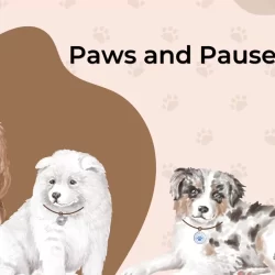 The Paws and Pause: Understanding the Inertia in Spending on Pet Safety in India