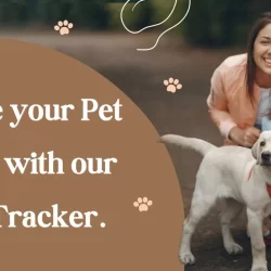 Unlocking-the-Future-of-Pet-Safety_-The-GPS-Tracker-Revolution